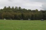DAIGNY11EM-036
