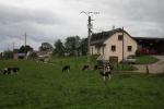 DAIGNY11EM-180